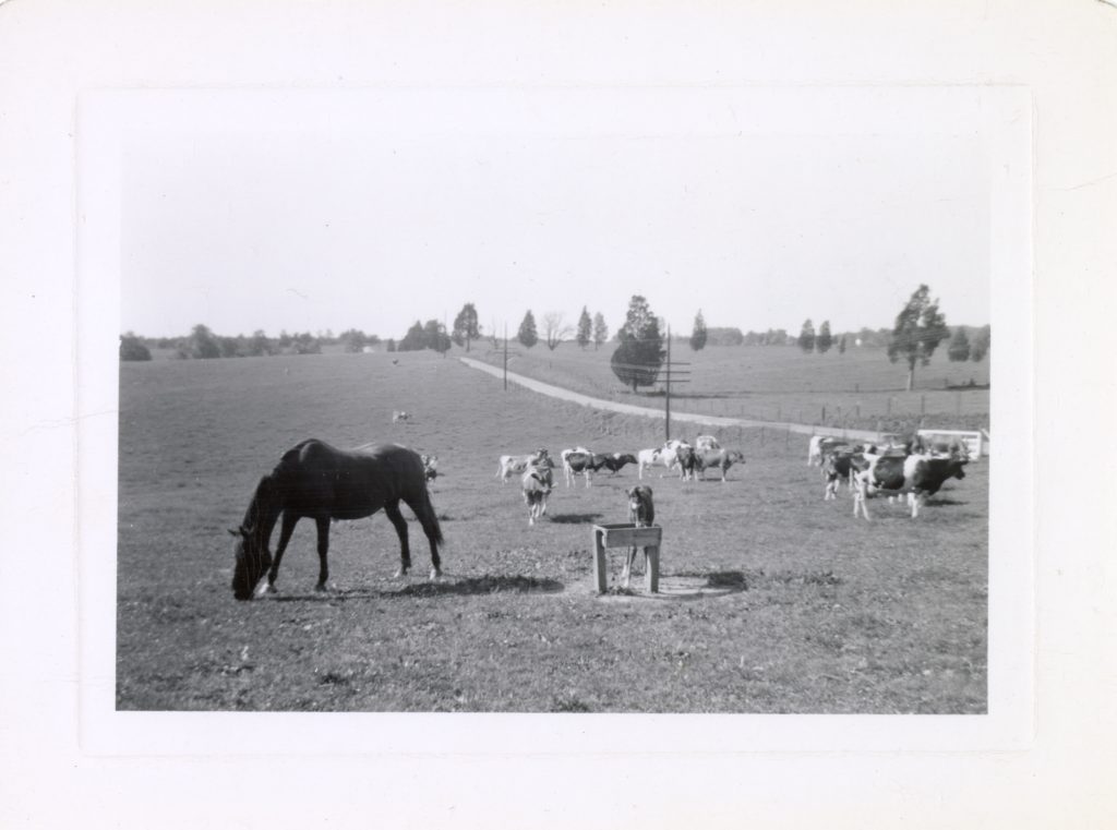Changing Agriculture of the 19th Century in Fairfax County, Virginia